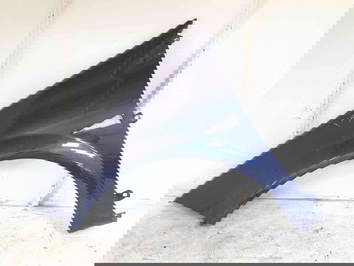 Aripa stanga fata Renault Megane 2 [Fabr 2002-2008] TEF43