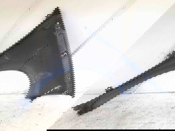 Aripa stanga fata Renault Megane 2 [Fabr 2002-2008] TEF43