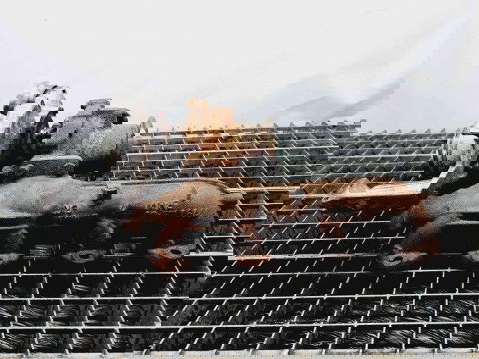 Turbina Bmw 1 (E81, E87) [Fabr 2004-2010] 7800594 2.0 N47D20A 105KW / 143CP 2.0 N47D20A 105KW / 143CP