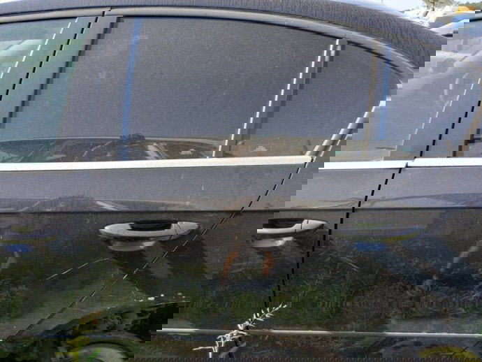 Usa stanga spate Volkswagen Passat 1.9 BXE OEM 2005-2010