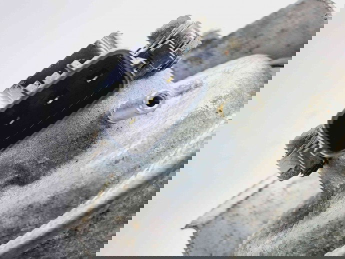 Turbina Ford Galaxy 2 [Fabr 2006-2015] 9662464980 2.0 TDCI QXWA 105KW / 143CP  