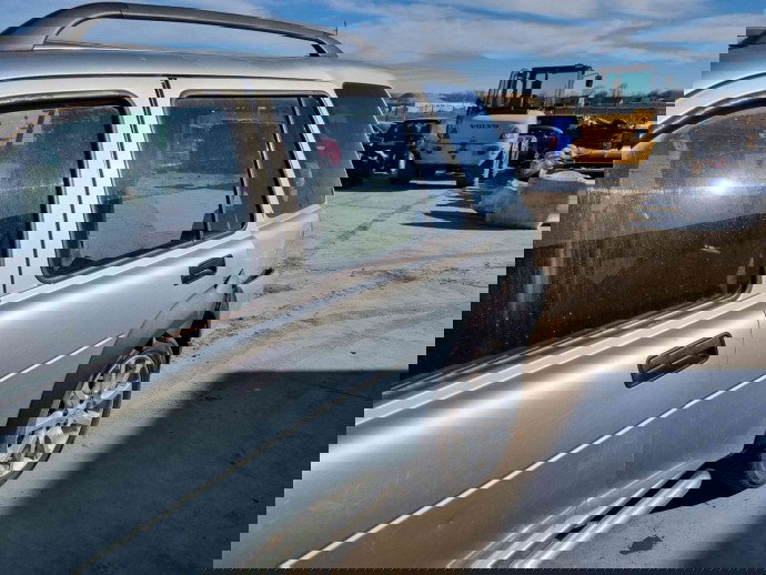 Usa stanga spate LAND ROVER Freelander (LN) [Fabr 1998-2006] OEM