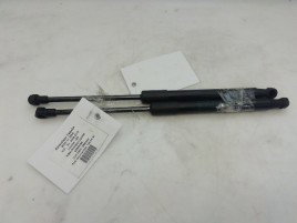 Amortizoare capota BMW X1 2.0D N47D20C 2990344 2009-2015