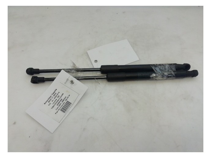 Amortizoare capota BMW X1 2.0D N47D20C 2990344 2009-2015