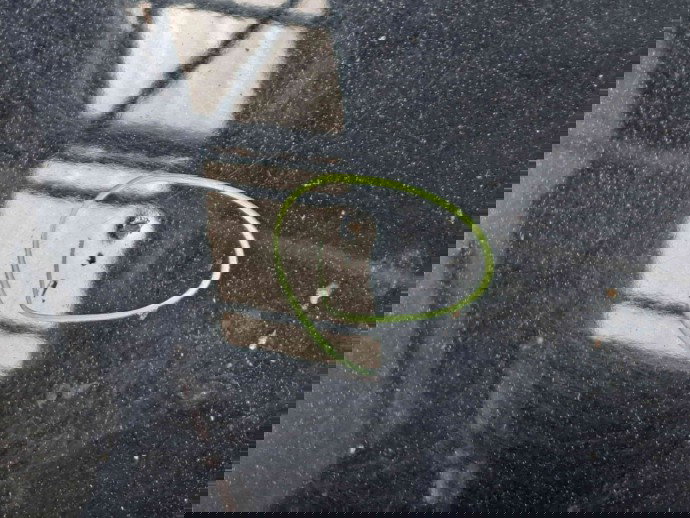 Capota Ford Fiesta 6 [Fabr 2008-2019] Panther Black