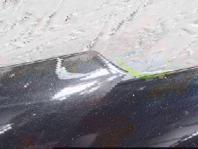 Capota Ford Fiesta 6 [Fabr 2008-2019] Panther Black