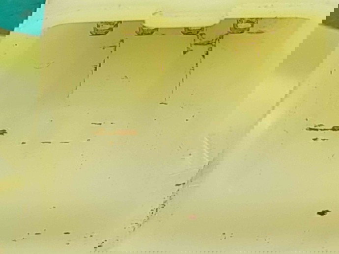 Pompa combustibil Renault Megane 2 [Fabr 2002-2008] 8200288803A 1.5 DCI K9K-D7 