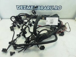 Instalatie electrica motor BMW X1 2.0D N47D20C 781274607 2009-2015