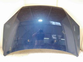 Capota Ford Focus 2 (DA) [Fabr 2004-2012] C9