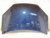 Capota Ford Focus 2 (DA) [Fabr 2004-2012] C9