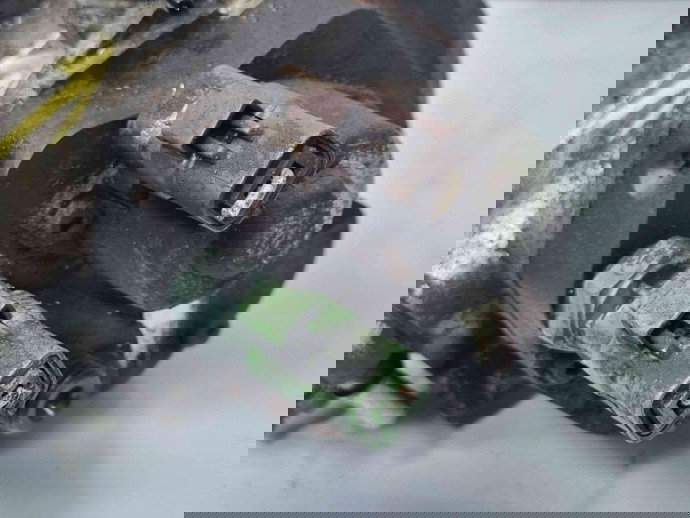 Pompa inalta presiune Renault Clio 3 [Fabr 2005-2012] 167003608R | H8201121521 1.5 DCI K9K770 66KW / 90CP  