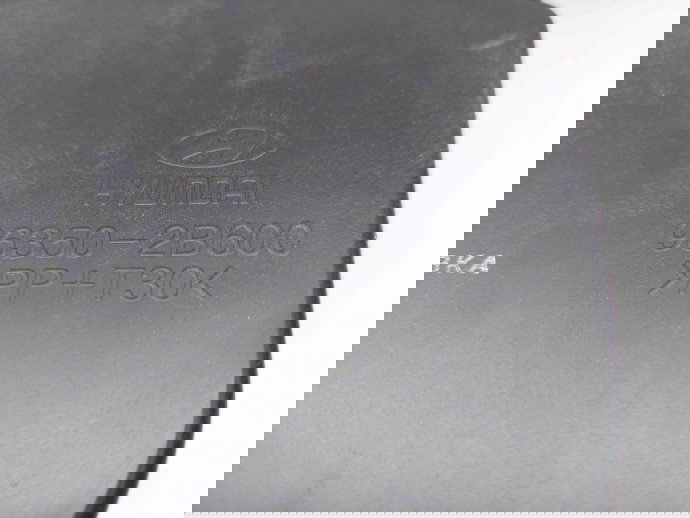 Subwoofer Hyundai Santa Fe 2 (CM) [Fabr 2005-2012] 96350-2B600