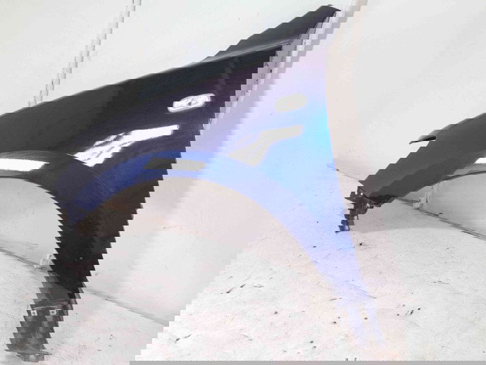 Aripa stanga fata Hyundai Santa Fe 2 (CM) [Fabr 2005-2012] 5Q