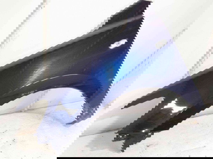 Aripa stanga fata Hyundai Santa Fe 2 (CM) [Fabr 2005-2012] 5Q