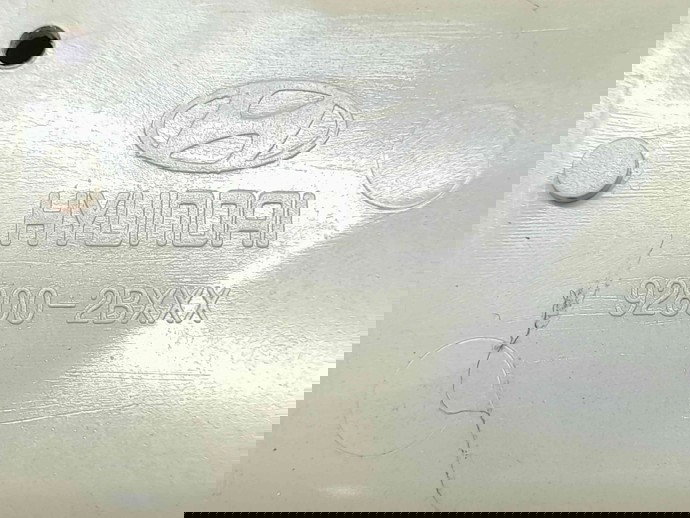 Plafoniera fata Hyundai Santa Fe 2 (CM) [Fabr 2005-2012] 92800-2BXXX