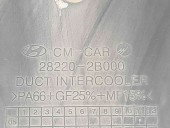 Deflector aer Hyundai Santa Fe 2 (CM) [Fabr 2005-2012] 28220-2B000