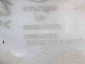 Vas expansiune Hyundai Santa Fe 2 (CM) [Fabr 2005-2012] 25430-2B100