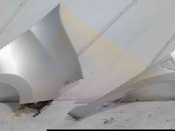 Aripa dreapta fata Renault Symbol 2 / Thalia [Fabr 2008-2012] TED11