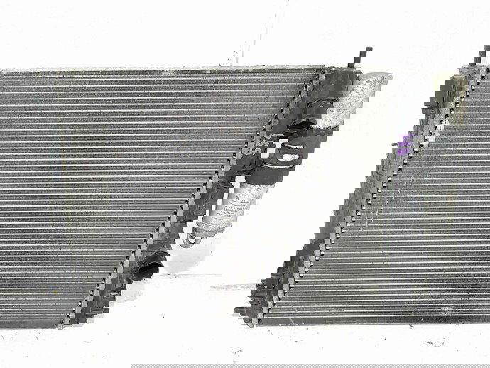 Radiator apa Renault Symbol 2 / Thalia [Fabr 2008-2012] 8200778910 1.2 16V D4F 