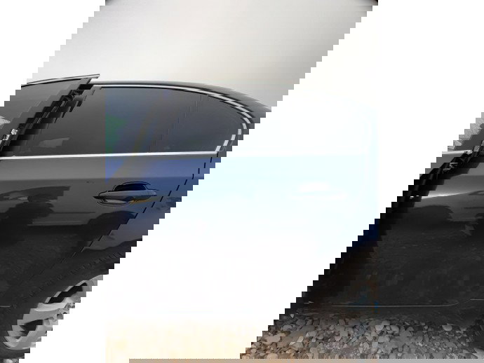 Usa stanga spate cheala BMW Seria 5 E60