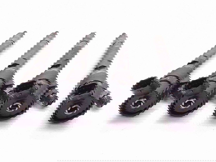 Injector Hyundai Santa Fe 2 (CM) [Fabr 2005-2012] 0445110254 /  3380027800 2.2 CRDI D4EB  114 KW / 155CP