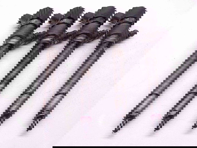 Injector Hyundai Santa Fe 2 (CM) [Fabr 2005-2012] 0445110254 /  3380027800 2.2 CRDI D4EB  114 KW / 155CP