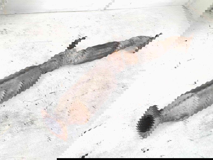 Catalizator Hyundai Santa Fe 2 (CM) [Fabr 2005-2012] UDCME4 2.2 CRDI D4EB  114 KW / 155CP