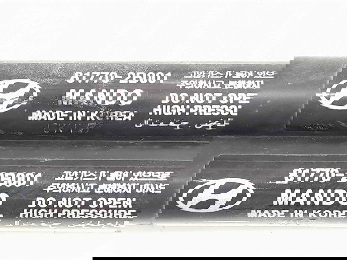 Amortizor haion Hyundai Santa Fe 2 (CM) [Fabr 2005-2012] 81770-2B001