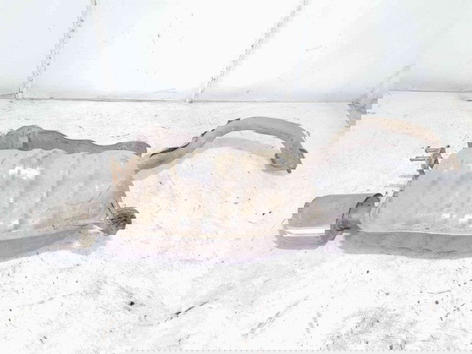 Toba esapament Hyundai Santa Fe 2 (CM) [Fabr 2005-2012] CMM56 2.2 CRDI D4EB