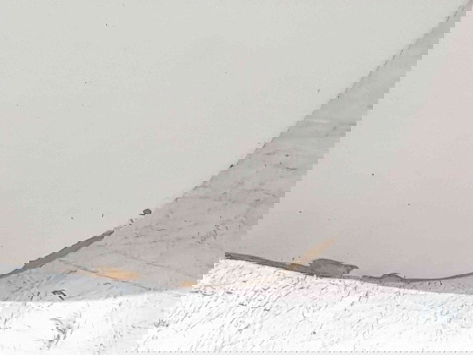 Usa dreapta fata Renault Symbol 2 / Thalia [Fabr 2008-2012] TED11