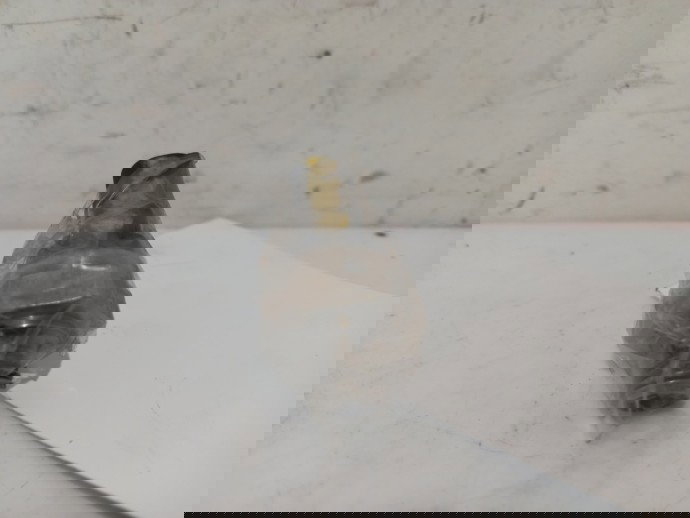 Senzor nivel ulei Mercedes A200 W169 2.0 CDI A0041539828 2004-2011