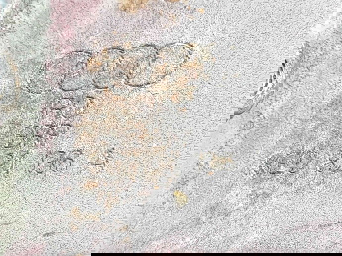 Suport aripa dreapta fata Audi A4 (8EC, B7) [Fabr 2004-2008] 8E0821138A