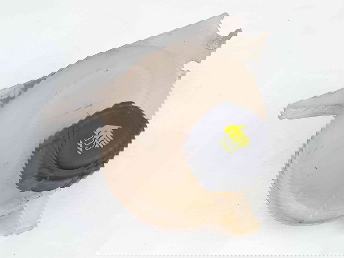 Vas expansiune Renault Symbol 2 / Thalia [Fabr 2008-2012] 8200686855