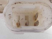 Pompa combustibil Renault Symbol 2 / Thalia [Fabr 2008-2012] 8200683199 1.2 16V D4F 