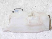 Vas lichid parbriz Renault Symbol 2 / Thalia [Fabr 2008-2012] 7700847815