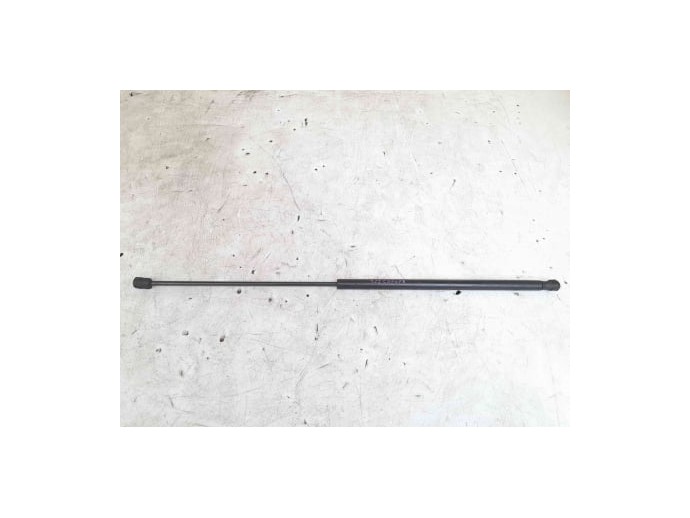 Telescop Amortizor Capota Motor 8E0823359A Audi A4 (8EC, B7)