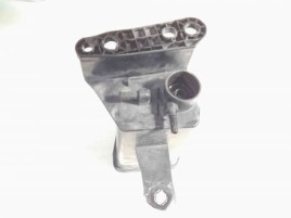 Canistra Carbon Vapori 8200672360 Dacia Logan 1.4MPI