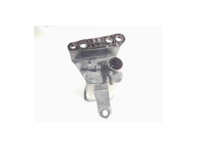 Canistra Carbon Vapori 8200672360 Renault Megane 2 1.6MPI