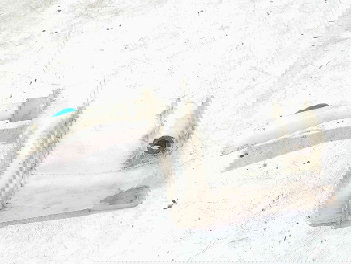 Vas lichid parbriz Chevrolet Aveo (T250, T255) [Fabr 2003-2011] 96543076