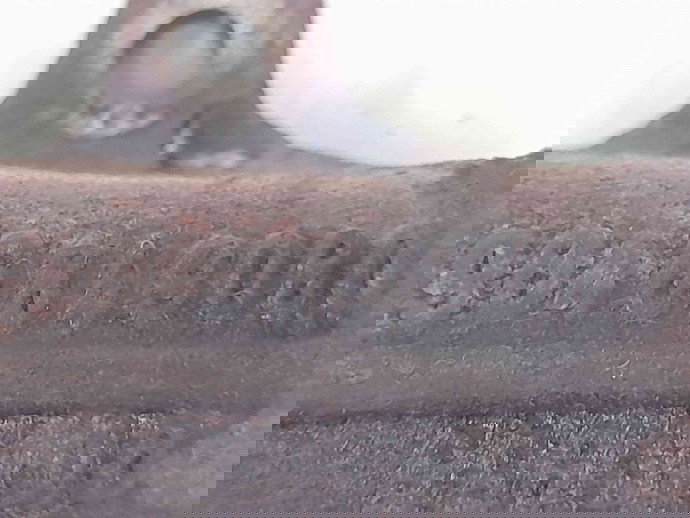 Galerie evacuare Ford Focus 2 (DA) [Fabr 2004-2012] 9646849080 2.0 TDCI G6DB