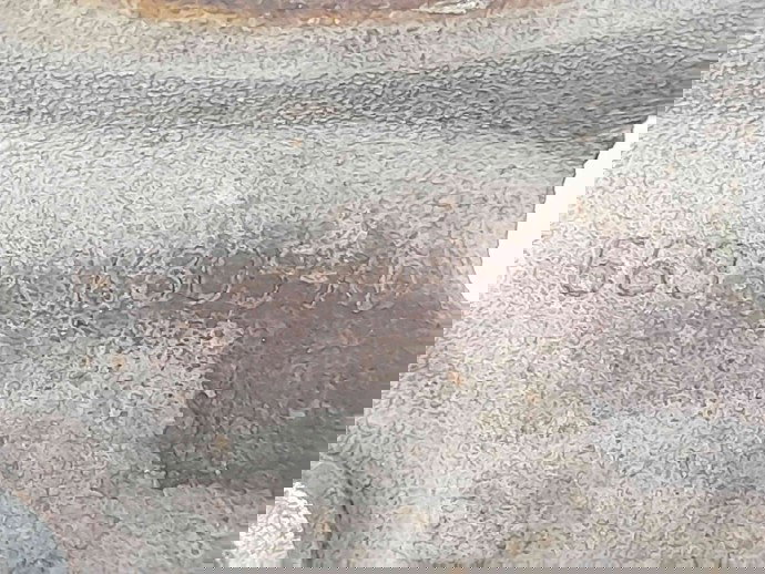 Suport planetara dreapta Ford Focus 2 (DA) [Fabr 2004-2012] 6691-3K305-AD 2.0 TDCI G6DB 