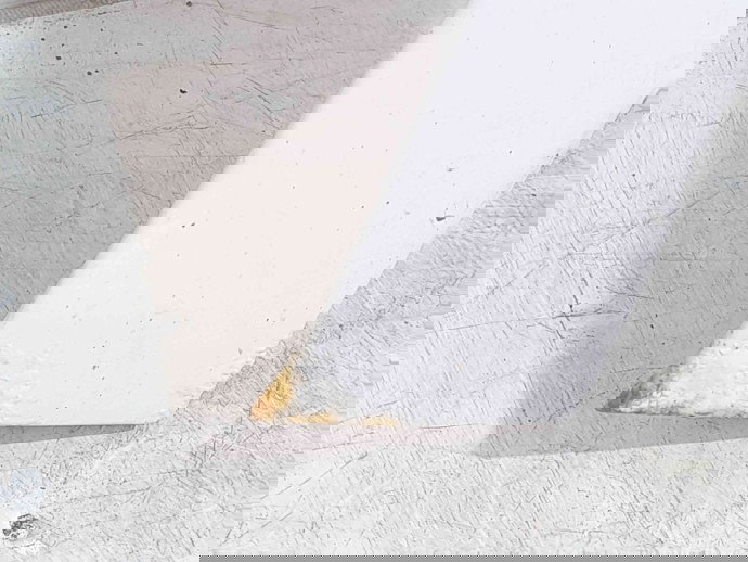 Aripa dreapta fata Skoda Fabia 2 (5J, 542) [Fabr 2007-2014] LF9E