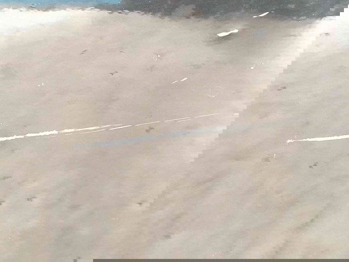 Usa dreapta fata Ford Focus 2 (DA) [Fabr 2004-2012] F3