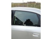 Geam usa stanga spate Audi A4 B7