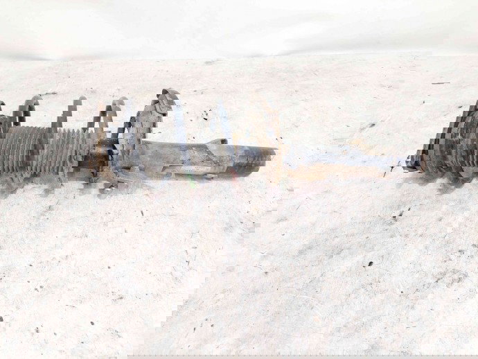 Amortizor dreapta fata Ford Focus 2 (DA) [Fabr 2004-2012] 4M51-18045-BCD