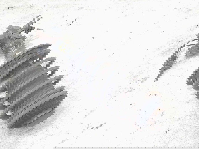 Amortizor stanga fata Opel Astra H Combi [Fabr 2004-2009] 13182348