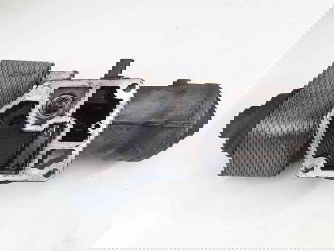 Termoflot Audi A3 (8P1) [Fabr 2003-2012] 045115389E 2.0 TDI BKD 