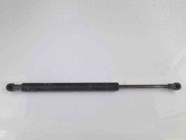 Amortizor haion Bmw 3 Coupe (E46) [Fabr 1999-2005] 8254231