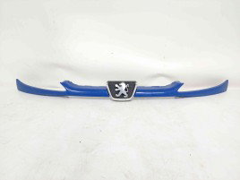 Grila bara fata Peugeot 206 [Fabr 1998-2009] 9628691277