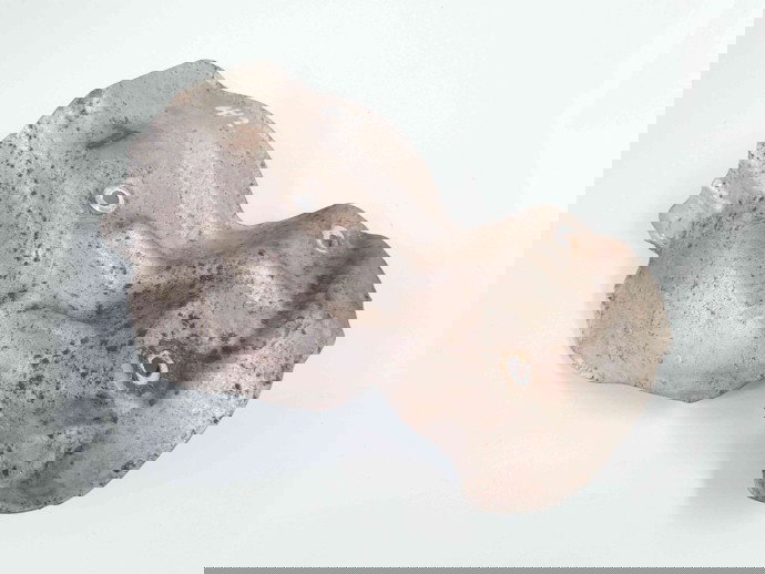 Protectie termica Opel Corsa D [Fabr 2006-2013] 55201389